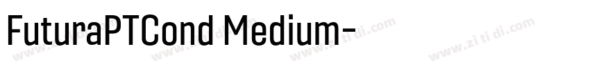 FuturaPTCond Medium字体转换